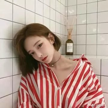 君子好逑