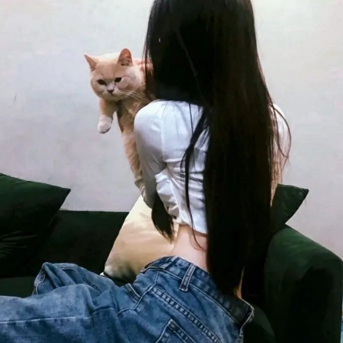 滚动吧小齿轮