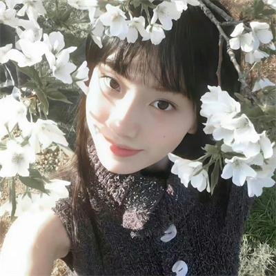 饿狼传：孤狼之道